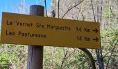 Trail Walking Chambon-sur-Lac - BOUCLE AUTOUR DE LA COUZE DE SURAINS - Photo 1