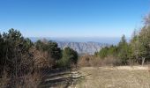 Randonnée A pied Cantalupo Ligure - Cantalupo Ligure – Monte Giarolo - Photo 3