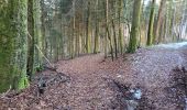 Randonnée Marche Vieux-Moulin - Circuit: Vieux-Moulin - Ortomont Bourg- Menil de Senones- Vieux-Moulin - Photo 18