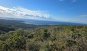 Tocht Stappen La Cadière-d'Azur - 20250116 le gros cerveau  - Photo 4