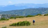 Trail Walking Saint-Auban - Les Lattes - Chauvet - Pensiers Occidental et Oriental - Photo 7