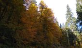 Tour Wandern Woll - lispach Grouvelin AR - Photo 1