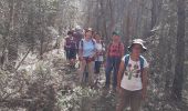 Trail Walking Trets - Kirbon 2 juin 2022 - Photo 9