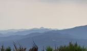 Randonnée Marche L'Albère - col de l ullat . puig d orella . puîg sant cristau . col de l ullat - Photo 3