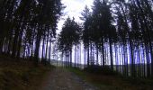 Trail Mountain bike La Roche-en-Ardenne - La_Roche_en_Ardenne_20210430_100431 - Photo 6
