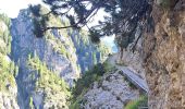 Trail Walking Prags - Braies - DOLOMITES 05 - Rifugio Dreizinnenhütte - Photo 15