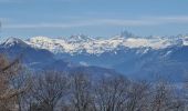 Tocht Stappen Collonges-sous-Salève - SALEVE - Photo 4