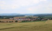 Percorso A piedi Hammersbach - Panoramaweg - Photo 1