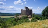 Excursión A pie Hollókő - Hollókő - Vártúra Ösvény és Biológiai Tanösvény - Photo 1