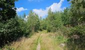 Trail Walking Dison - Andrimont - Nez de Napoléon  - Limbourg - Photo 2