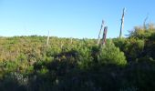 Trail Walking Boutenac - BOUTENAC - Circuit des combes par la chapelle St Siméon - Photo 13