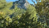 Trail Walking Le Bar-sur-Loup - Callivore2 - Photo 4