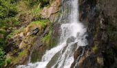 Tocht Stappen Le Hohwald - Hohwald - Rothlach - Neuntelstein - Photo 14