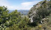 Trail Walking Rosans - le mont Fourchat - Photo 12