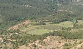 Tour Wandern Saint-Antonin-sur-Bayon - 20220512 la Sainte Victoire - Photo 19