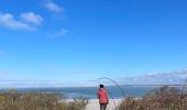 Excursión Senderismo Cayeux-sur-Mer - Le Hourdel - Photo 19