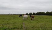 Randonnée Marche Saint-Valery-sur-Somme - Baie de Somme - Photo 2