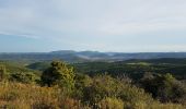 Excursión Marcha nórdica Le Bosc - Le Bosc Grandmont - Photo 10