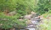 Tour Wandern Eupen - 20250714 - BIOS Ternell - 8.8 Km - Photo 1