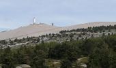 Tour Wandern Bédoin - les glacières par le sommet du ventoux - Photo 2