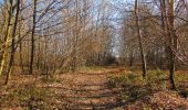 Randonnée A pied Vieux-Moulin - en forêt de Compiègne_23_la Grotte des Ramoneurs_le Mont Berny - Photo 17