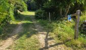 Percorso Marcia Cerelles - Cerelles - Bois de Lignière - Photo 20