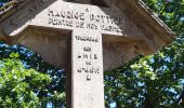 Percorso Marcia Spa - route des fontaines . pouhon delcor . monument RAF . croix pottier . tour rt ferme de berinzenne . arboretum  - Photo 5