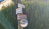 Trail Walking Soultzmatt - Rando Marcheurs ..20/03/2025.. - Photo 3