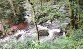 Randonnée Marche Gimel-les-Cascades - Gimel - Photo 4