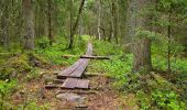 Trail On foot Unknown - Fylleryd, vitgul - Photo 1