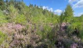 Trail Walking Vielsalm - Initiation bivouac j1 - Photo 14