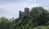 Tour Wandern Chambles - Chambres,Barrage Grangent,  - Photo 4