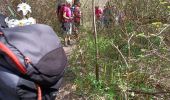 Tocht Stappen Buoux - la vallée de l'aigueb - Photo 5