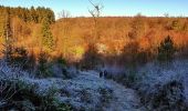 Randonnée Marche Viroinval - Balade dans le Viroinval - Le Mesnil - Photo 3