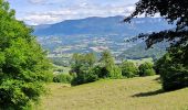 Tour Wandern Entrelacs - cessens tours cesar - Photo 1