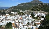 Trail On foot Casares - ES-SL 8 - Photo 2