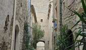 Tour Wandern Les Matelles - Matelles_St-Jean-de-cucules - Photo 4