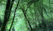 Trail Walking Les Eyzies - Sireuil Colmar que - Photo 7