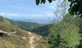 Trail Walking Soultz-Haut-Rhin - Randonnée vers le Vieil Armand - Photo 8
