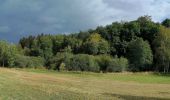 Percorso Marcia Martelange - Sentier des Goutelles des Bacs - Photo 4