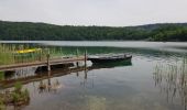 Excursión Senderismo Le Frasnois - Lac de Narlay - Pic de l'Aigle - Photo 9