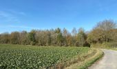 Tour Wandern Yvoir - Entre Meuse et Bocq, départ de Mont - Photo 17