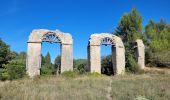 Randonnée Marche Meyrargues - alentours de Meyrargues tracé bleu - Photo 2