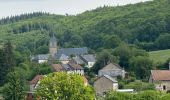Trail  Saint-Brisson - Saint Brisson Morvan - Photo 3