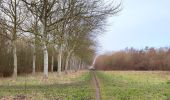 Trail Walking Veere - Se promener dans Westkapelle et dans les dunes  - Photo 7