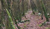 Trail Walking Entrelacs - SAPENAY / CLERGEON: GRANDE CUVE - Photo 1