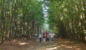Trail Walking Saint Vith - 20220904 - Rodt 4.7 Km - Photo 2