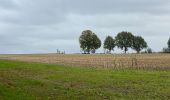 Randonnée Marche Bierbeek - Bierbeek 23 km 2020 - Photo 7