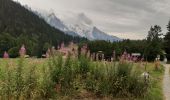 Excursión Senderismo Chamonix-Mont-Blanc -  Kes Tines Argentièrepar petit balcon sud et retour par le Lavancher  - Photo 2