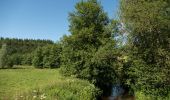 Randonnée Marche Tenneville - Wyompont - Promenade de la chaussée romaine (17) - Photo 1